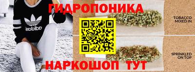 крисы Ипатово