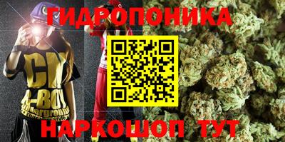 крисы Ипатово