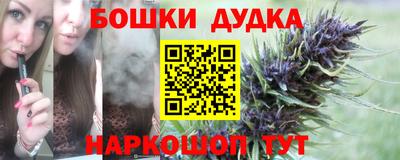 крисы Ипатово