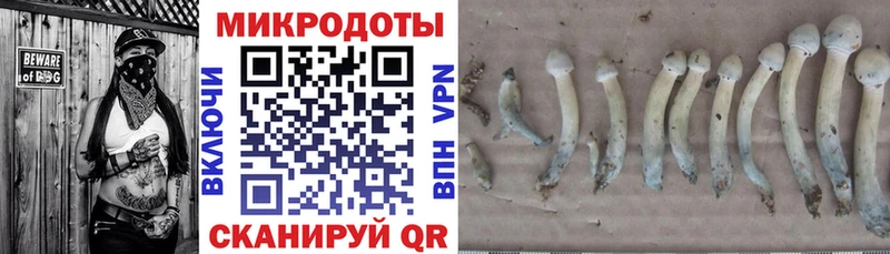 Галлюциногенные грибы прущие грибы  Новоалександровск 